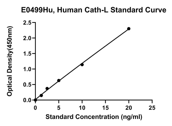 Human Cathepsin L, CATH-L ELISA Kit