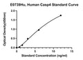 Human Caspase-4, CASP4 ELISA Kit