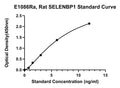 Rat Selenium-binding Protein 1, SELENBP1 ELISA Kit