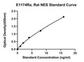 Rat Nestin, NES ELISA Kit