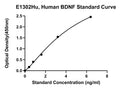 Human Brain Derived Neurotrophic Factor, BDNF ELISA Kit
