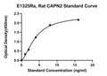 Rat Calpain-2 Catalytic Subunit, CAPN2 ELISA Kit