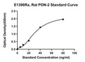 Rat Paraoxonase-2, PON-2 ELISA Kit