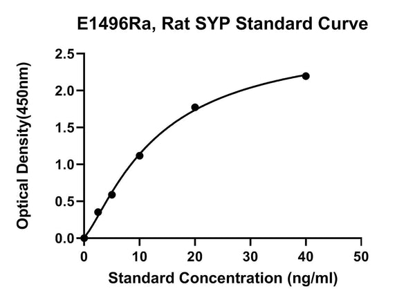 Rat Synaptophysin, SYP ELISA Kit