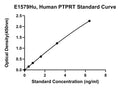 Human Receptor-type Tyrosine-protein Phosphatase T, PTPRT ELISA Kit