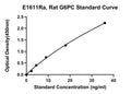 Rat Glucose-6-phosphsatase, G6PC ELISA Kit
