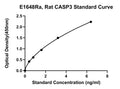 Rat Caspase 3, CASP3 ELISA Kit