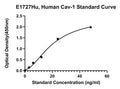 Human Caveolin-1, CAV-1 ELISA Kit