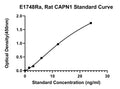 Rat Calpain 1, CAPN1 ELISA Kit