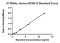 Human Atp-sensitive Inward Rectifier Potassium Channel 12, KCNJ12 ELISA Kit