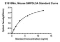 Mouse Acid Sphingomyelinase-like Phosphodiesterase 3A, SMPDL3A ELISA Kit