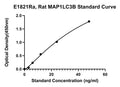 Rat Microtubule-associated Proteins 1A, 1B Light Chain 3B, MAP1LC3B ELISA Kit