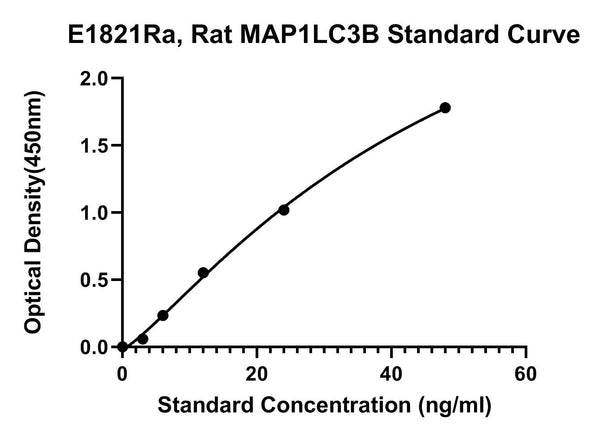 Rat Microtubule-associated Proteins 1A, 1B Light Chain 3B, MAP1LC3B ELISA Kit