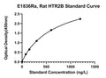 Rat 5-Hydroxytryptamine Receptor 2B, HTR2B ELISA Kit