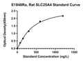 Rat Atp Translocase 1, SLC25A4 ELISA Kit
