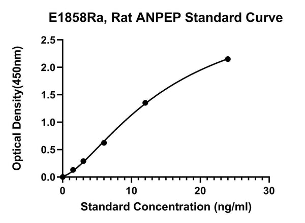 Rat Aminopeptidase N, ANPEP ELISA Kit