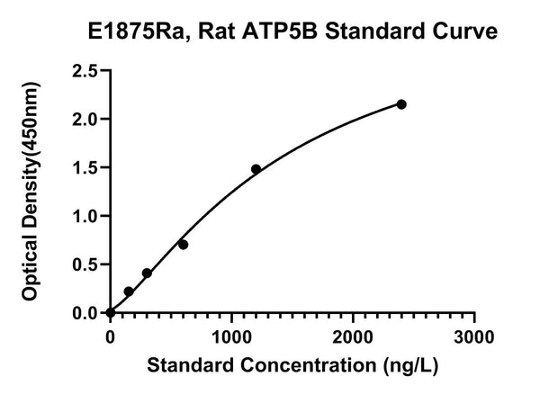 Rat Atp Synthase Subunit Beta, Mitochondrial, ATP5B ELISA Kit