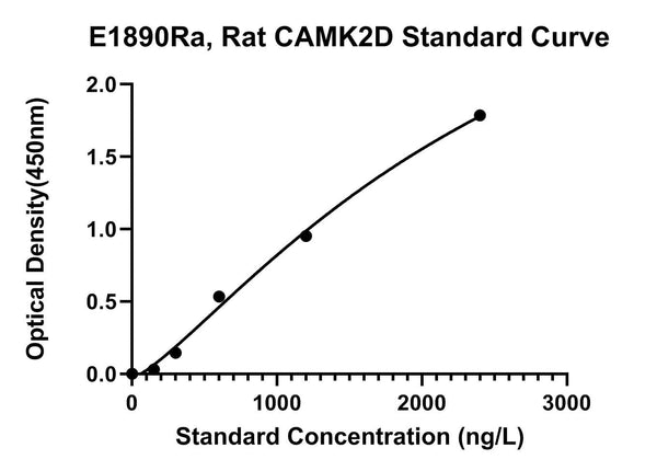 Rat Calcium Calmodulin-dependent Protein Kinase Type II Subunit Delta, CAMK2D ELISA Kit