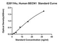 Human Beclin-1, BECN1 ELISA Kit