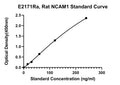 Rat Neural Cell Adhesion Molecule 1, NCAM1 ELISA Kit