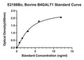 Bovine Beta-1, B4GALT1 ELISA Kit