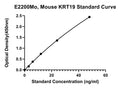 Mouse Keratin, Type 1 Cytoskeletal 19, KRT19 ELISA Kit