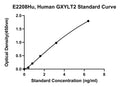Human Glucoside Xylosyltransferase 2, GXYLT2 ELISA Kit