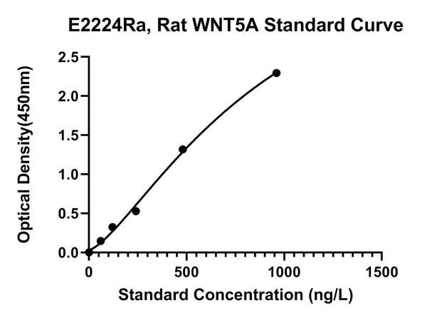 Rat Protein Wnt-5A, WNT5A ELISA Kit