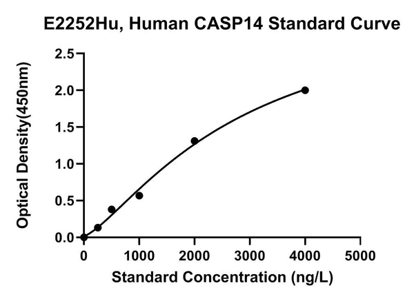Human Caspase 14, CASP14 ELISA Kit