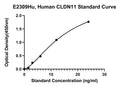 Human Claudin 11, CLDN11 ELISA Kit