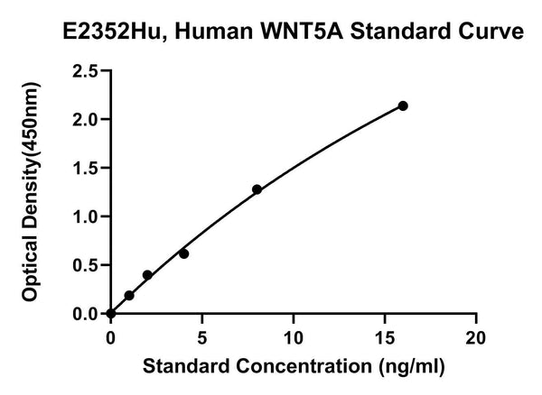 Human Protein Wnt-5A, WNT5A ELISA Kit