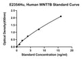 Human Protein Wnt-7B, WNT7B ELISA Kit