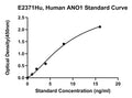 Human Anoctamin 1, ANO1 ELISA Kit