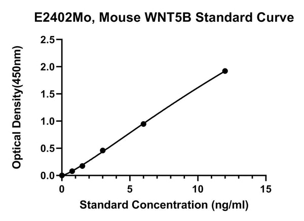 Mouse Protein Wnt-5B, WNT5B ELISA Kit