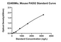 Mouse Protein-arginine Deiminase Type-2, PADI2 ELISA Kit