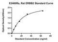 Rat Receptor Tyrosine-protein Kinase Erbb-2, ERBB2 ELISA Kit