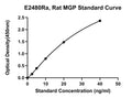 Rat Matrix Gla Protein, MGP ELISA Kit