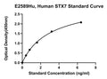 Human Syntaxin 7, STX7 ELISA Kit