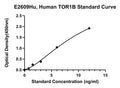 Human Torsin 1B, TOR1B ELISA Kit