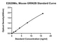 Mouse Glutamate Receptor Ionotropic Nmdar2B, GRIN2B ELISA Kit