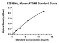 Mouse Autophagy Related Protein 4B, ATG4B ELISA Kit