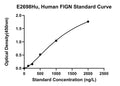 Human Fidgetin, FIGN ELISA Kit