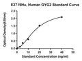 Human Glycogenin 2, GYG2 ELISA Kit