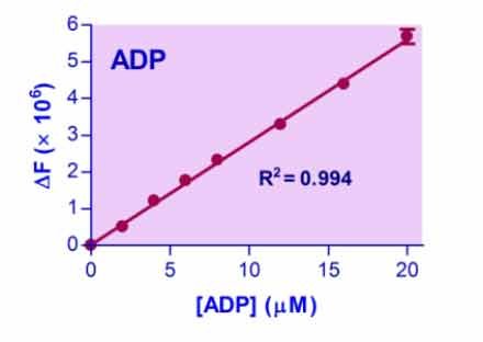 EnzyChrom™ ADP Assay Kit