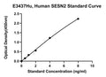 Human Sestrin 2, SESN2 ELISA Kit