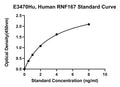 Human E3 Ubiquitin Protein Ligase Rnf167, RNF167 ELISA Kit