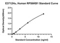 Human Ribosomal Protein S6 Kinase Beta-1, RPS6KB1 ELISA Kit
