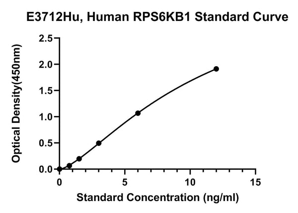 Human Ribosomal Protein S6 Kinase Beta-1, RPS6KB1 ELISA Kit