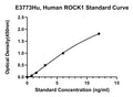 Human Rho-associated Protein Kinase 1, ROCK1 ELISA Kit