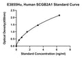 Human Mammaglobin-B, SCGB2A1 ELISA Kit